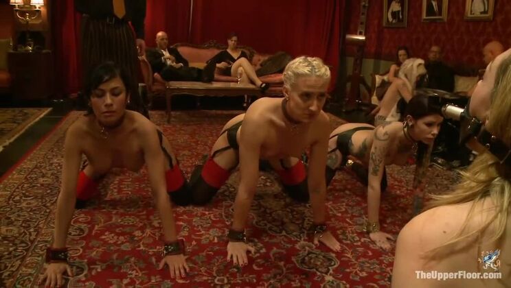 Humiliation Slave Girls: Lily Labeau and Friends