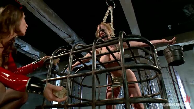 Ultimate Surrender: Ariel X Directs Dee Williams in Anal Domination