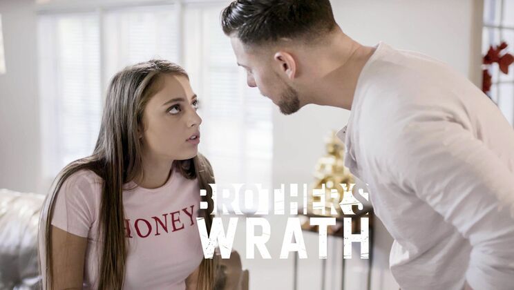 Stepbrother's Vengeance