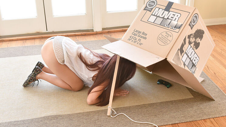 [ExxxtraSmall] - Tiny Girl Steals, Gets Caught - Elle Voneva