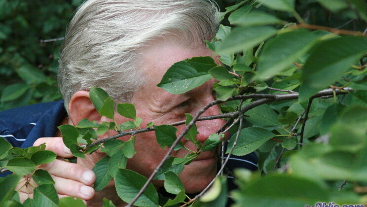 Big Tit Blonde Boobarella Sucks and Gets Fucked