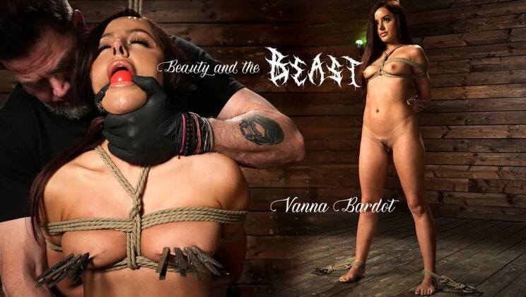 Beauty Tamed by the Beast